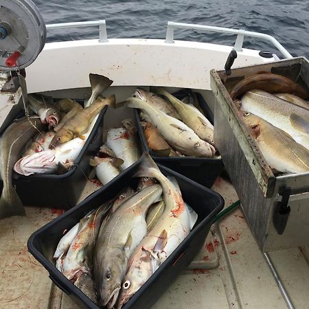 Hammerstad Camping Svolvær Eksteriør billede